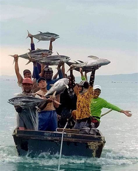 Mga video ng mega photo real.